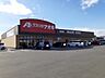 周辺：【ドラッグストア】クスリのアオキ田中島店まで1500ｍ