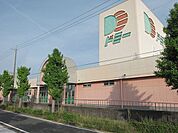 【スーパー】ドミー飯村店まで1266ｍ