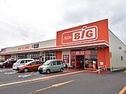 【スーパー】ザ・ビッグ本宮店まで700ｍ