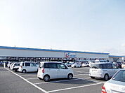 【ドラッグストア】カワチ薬品 富田店まで1800ｍ