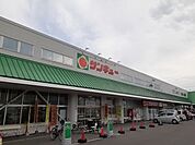 【スーパー】サンキュー小林店まで1200ｍ