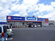 【ドラッグストア】ウエルシア今泉新町店まで1000ｍ
