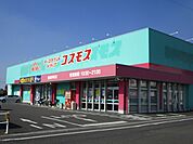 【ドラッグストア】コスモス都城栄町店まで1200ｍ