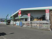 【ホームセンター】コメリ二宮店まで530ｍ