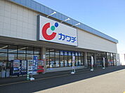 【ドラッグストア】カワチ薬品千渡店まで450ｍ