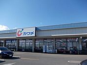 【ドラッグストア】カワチ薬品若松原店まで1400ｍ
