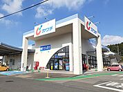 【ドラッグストア】カワチ薬品 戸祭南店まで2200ｍ