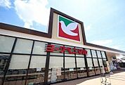 【スーパー】ヨークベニマル 鹿沼上殿町店まで500ｍ