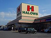 【スーパー】ハローズ新涯店まで1800ｍ