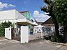 周辺：【幼稚園】大浜幼稚園まで747ｍ