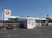 【ホームセンター】コメリ板野店様まで700ｍ