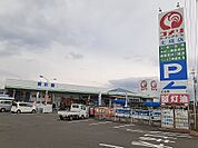 【ホームセンター】コメリ土成店様まで2400ｍ