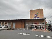 【スーパー】コープ土居店様まで1200ｍ