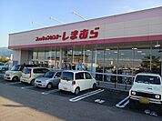 しまむら土居店まで342ｍ