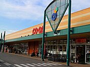 【スーパー】コープえひめ山根店様まで650ｍ