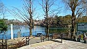 【公園】洗足池公園まで300ｍ