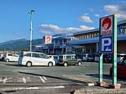 【スーパー】マルナカ新居浜本店まで500ｍ