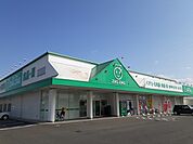 【ドラッグストア】ザグザグ白石店まで800ｍ