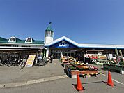 【ホームセンター】ダイキ総社西店まで1600ｍ