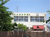 【幼稚園】わかば保育園まで450ｍ