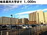 周辺：【大学】岐阜薬科大学まで1000ｍ