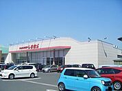 ファッションセンターしまむらまで650ｍ