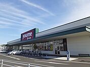【スーパー】ミスターマックス岡山西店まで1600ｍ