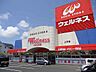 周辺：【ドラッグストア】ウェルネス上井店まで600ｍ