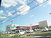 【ホームセンター】ホームセンターナンバまで1000ｍ
