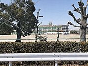 【小学校】南部小学校まで719ｍ