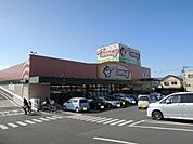 【スーパー】エブリィビックデー　富士宮店まで700ｍ