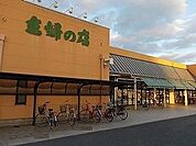 【スーパー】主婦の店まで800ｍ