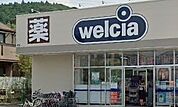 【ドラッグストア】ウエルシア鎌倉岩瀬店まで242ｍ