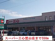 【スーパー】スーパー三心鷺山店まで550ｍ