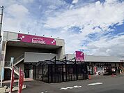 【ホームセンター】カンセキ那珂店まで1000ｍ