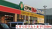 【ドラッグストア】くすりのマルトまで1350ｍ