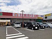 【ドラッグストア】ひまわり御幸店まで1200ｍ