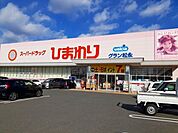【ドラッグストア】ひまわりグラン松永店まで1300ｍ