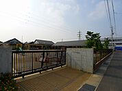 【幼稚園】しらかば保育園まで440ｍ