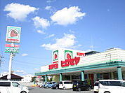 【スーパー】ヒロセヤ大宮店まで450ｍ