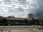 【スーパー】ニチエー宮浦店まで250ｍ