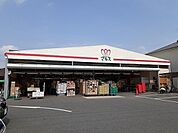 【スーパー】ショッピングマルス本店まで441ｍ