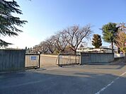 【小学校】薮塚本町南小学校まで1600ｍ