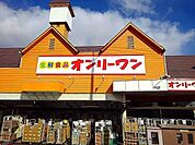 【スーパー】オンリーワン沖野上店まで210ｍ