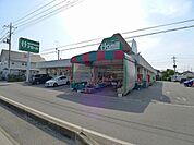【スーパー】アミール中野店まで280ｍ