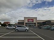 【スーパー】バロー加木屋店まで550ｍ