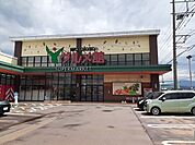 【スーパー】Yプラザグルメ館武生南店まで1300ｍ