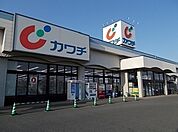 【ドラッグストア】カワチまで1300ｍ