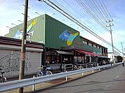 【スーパー】セレクション三郷まで1500ｍ
