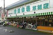 【スーパー】新鮮市場草加店まで1100ｍ